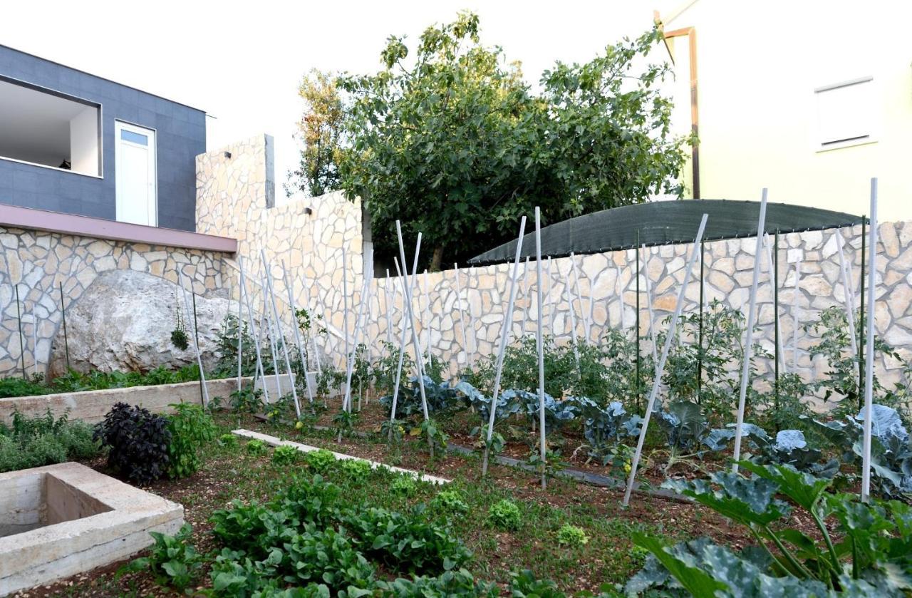 Donji Okrug  Apartments Care מראה חיצוני תמונה